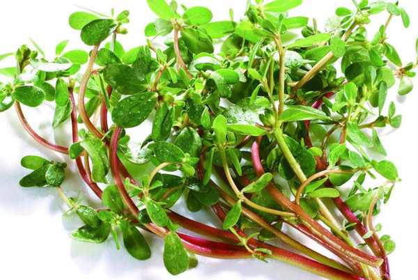 食堂承包餐飲服務(wù)管理為員工發(fā)展提供美味的食物，可以增加員工的社會(huì)福利